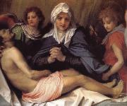 Virgin Mary lament Christ Andrea del Sarto